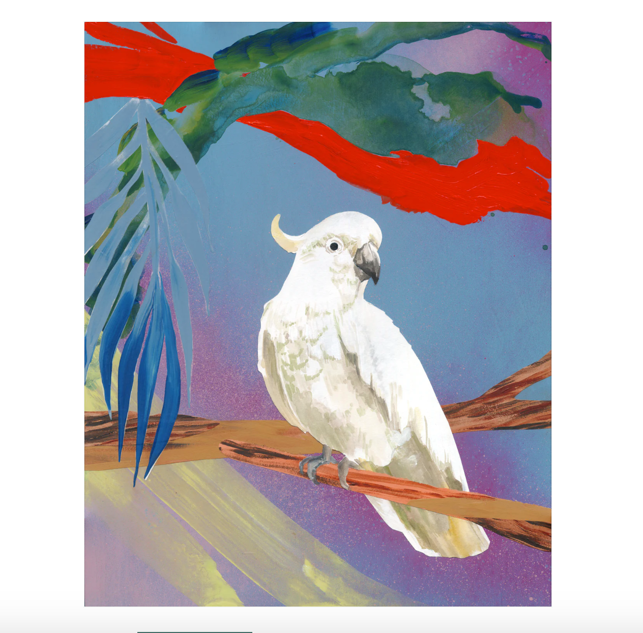 Parrot Fine Art Prints
