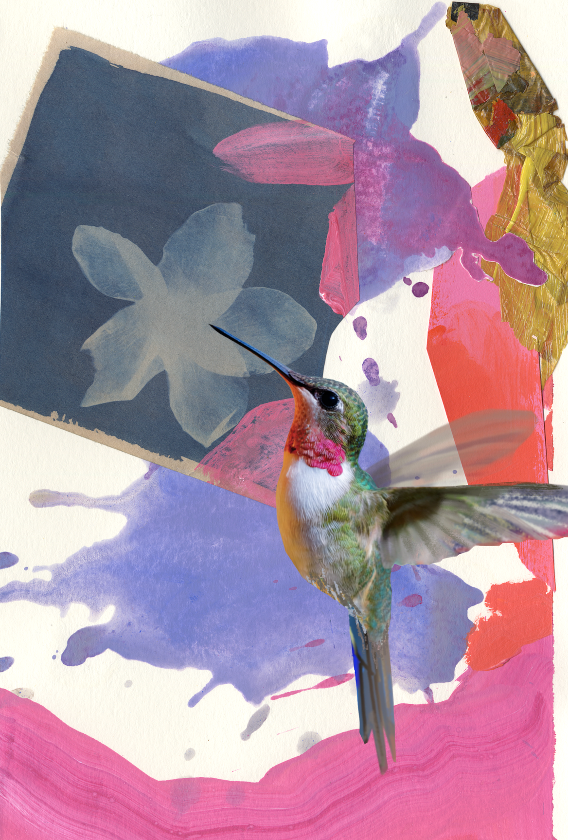 Hummingbird