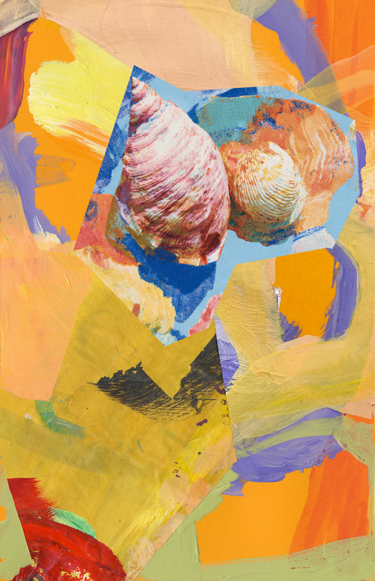 Shells