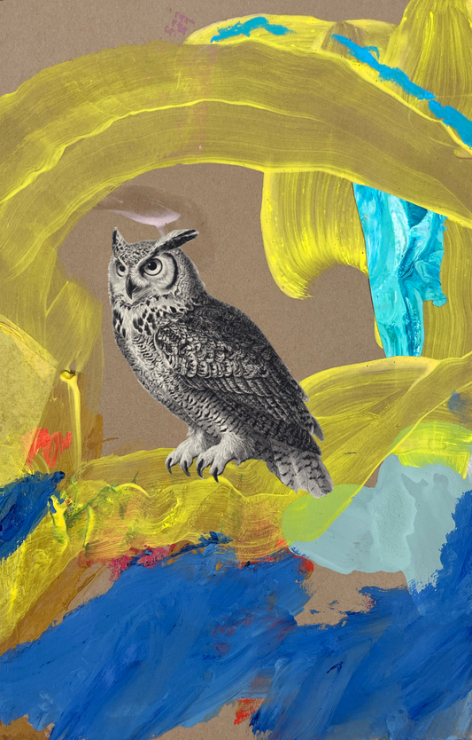Owl Fine Art Print on Paper - Framed