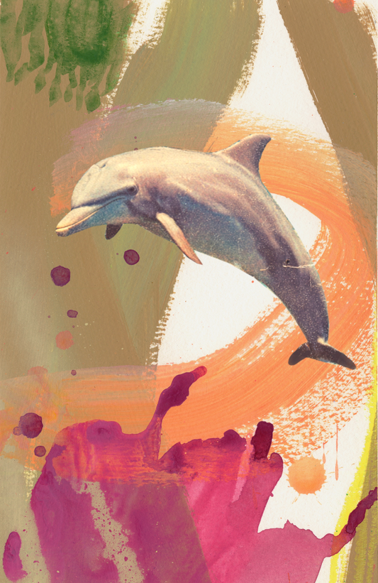 Dolphin Fine Art Print on Paper - Framed