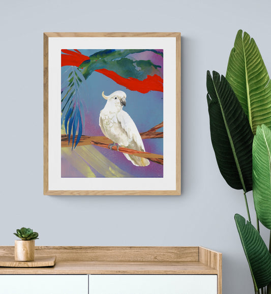 White Parrot Fine Art Print